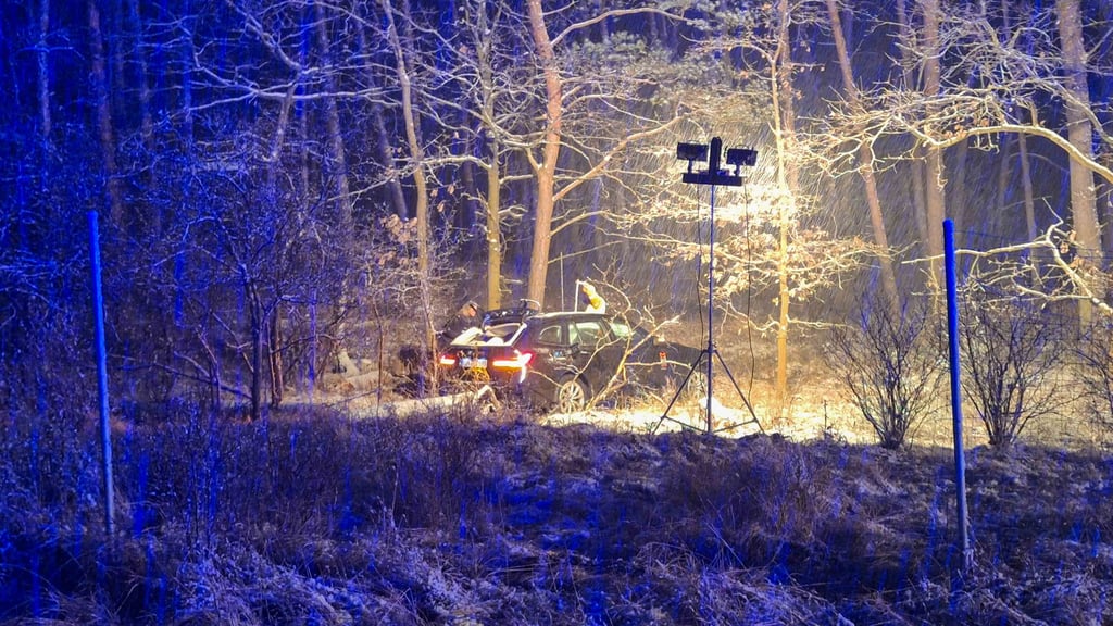 Am 15. Januar 2024 überschlägt sich auf der Bundesautobahn 9 zwischen Coswig und Köselitz - ebenfalls am selben Kilometerstein - auch dieser BMW mehrfach und kommt erst im Geäst neben der Fahrbahn zum Stillstand.