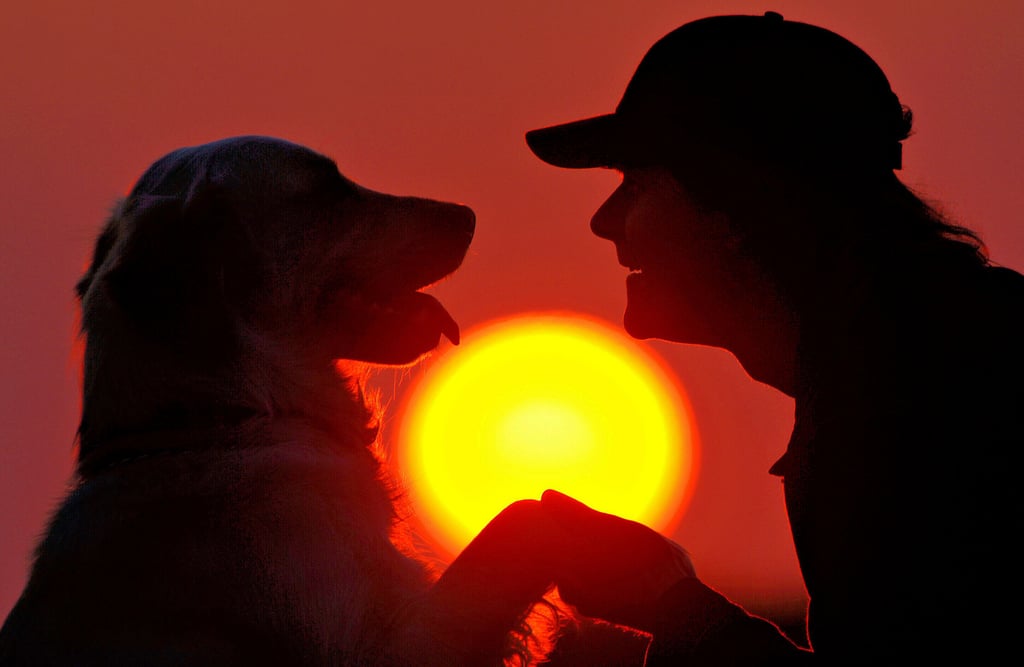 Mensch und Hund sind meistens ein gutes Team, wenn die Halter auf die rassebedingten Verhaltensweise und Bedürfnisse eingehen.