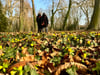 Der Schlosspark in Ostrau war trotz Sperrung gut besucht. Gerade die Winterlinge sind beliebt.