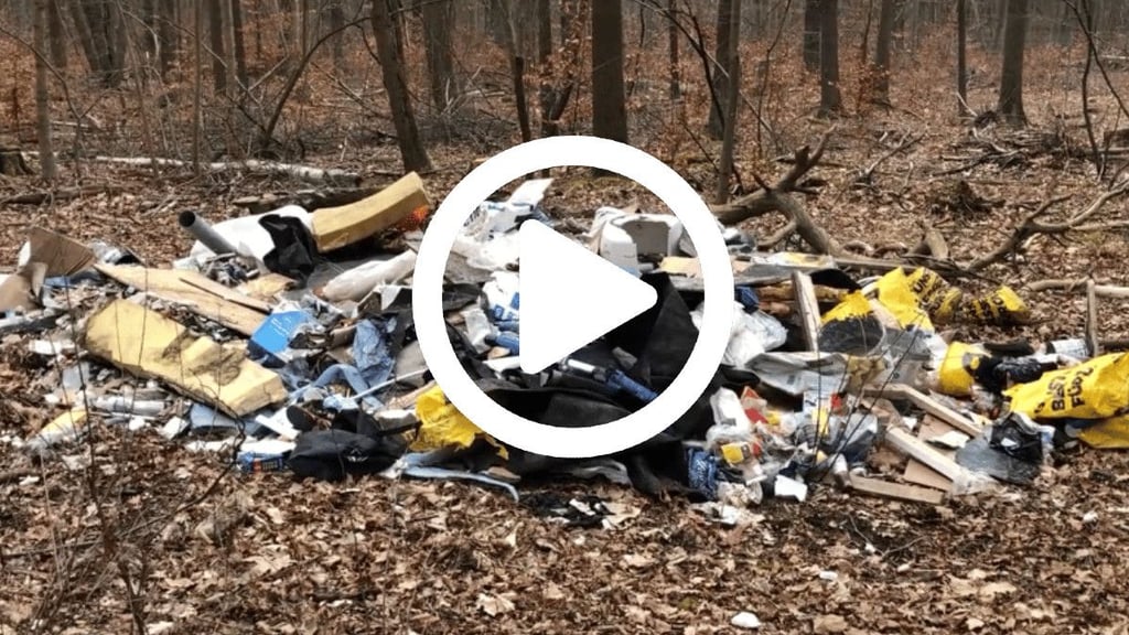 In der Dölauer Heide in Halle haben Unbekannte illegal Müll entsorgt.