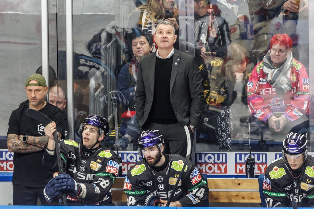 Eisbären-Trainer Serge Aubin (M) war in dieser Spielzeit auch als Vater, Bruder oder Freund gefragt.