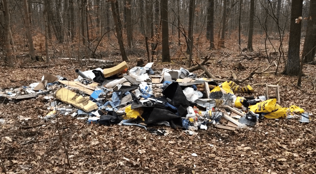 In der Dölauer Heide in Halle haben Unbekannte illegal Müll entsorgt.