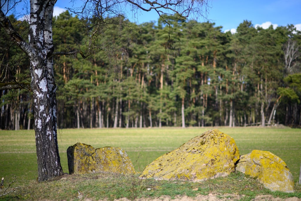 Zwischen 2010 und 2012 sollen nachweislich zwei Steine entwendet worden sein. Bis heute fehlt von ihnen jede Spur. (Archivbild)