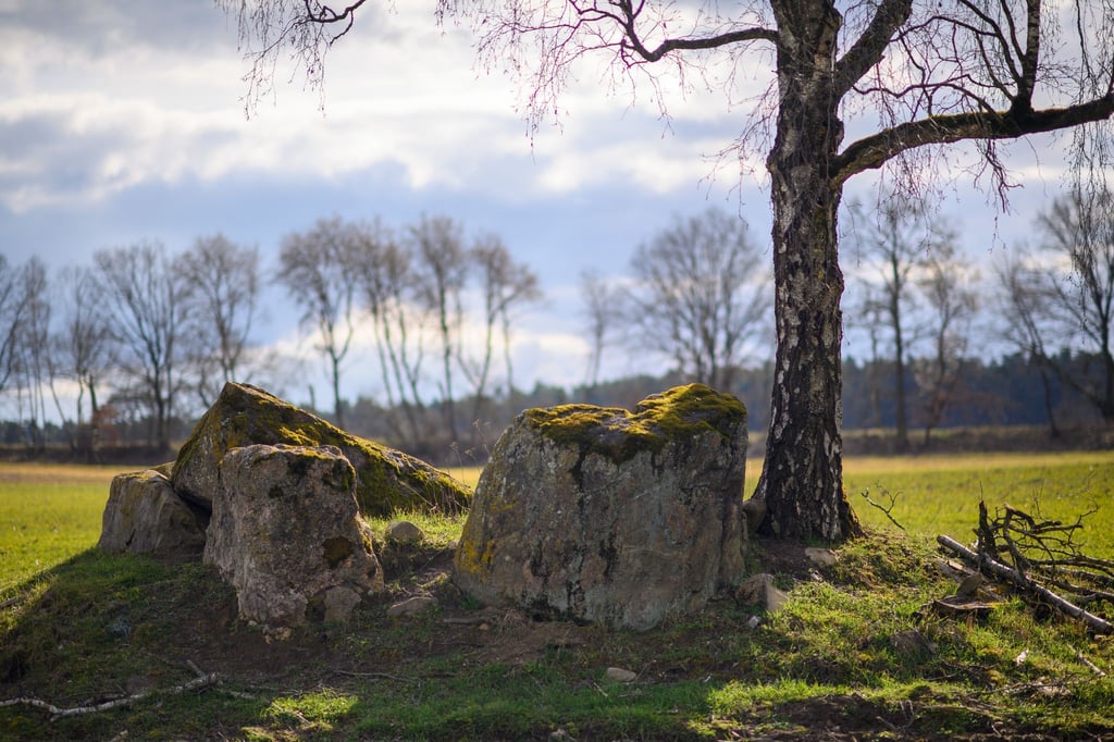 Das Großsteingrab „Immekath 1“ liegt bei Klötze in der Altmark. (Archivbild)