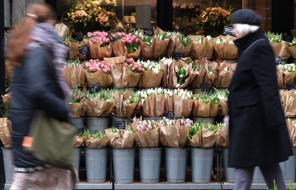 Für Tulpen müssen Verbraucher in diesem Jahr tiefer in die Tasche greifen. (Archivbild)