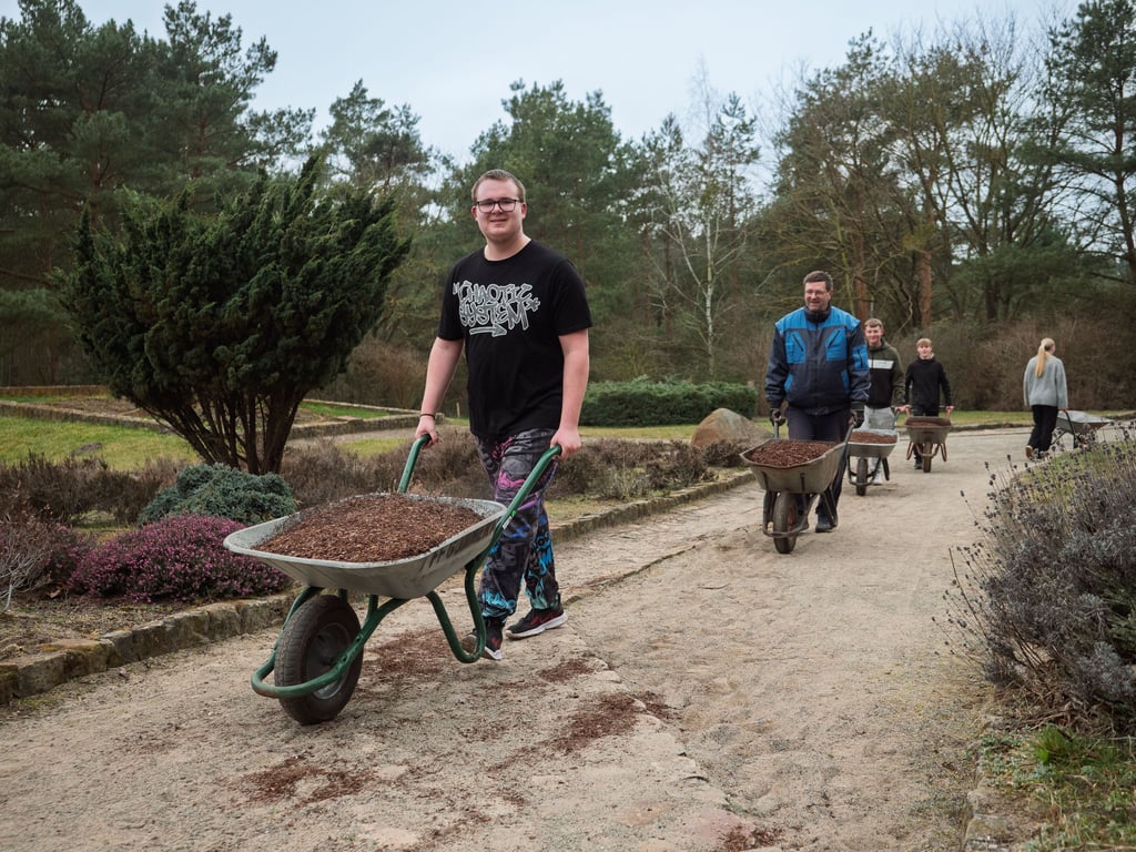 Rund 40 Kubikmeter Rindenmulch, die etwa 800 Schubkarrenladungen entsprechen, sind im Heidegarten in Gommern verteilt worden.
