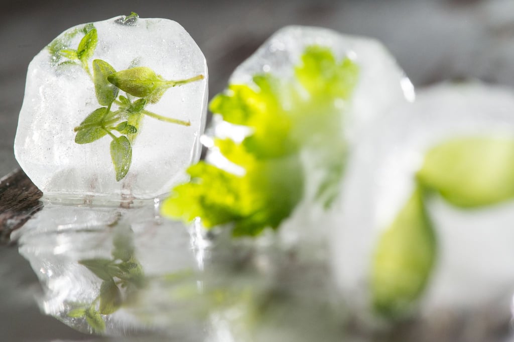 Auch Kräuter lassen sich gut einfrieren - hier sogar als besonderer Clou in einem Eiswürfel.