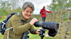 Nicole Eckhardt, Mitarbeiterin des Biosphärenreservates Drömling, beobachtet die Vogelwelt an der Flachwasserzone in Piplockenburg.