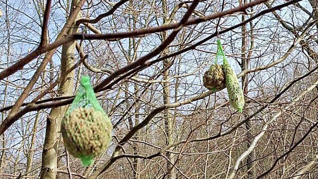 Diese Netze mit Vogelfutter hingen im Forstrevier Zollhaus in den Bäumen - für Damwild sind diese jedoch Gift und für Vögel im Wald gar nicht nötig.