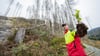 Forstwirtschaftsmeister Alexander Frese pflanzt im Oberharz Buchen - als Ersatz für die von Borkenkäfern zerstörten Fichten.