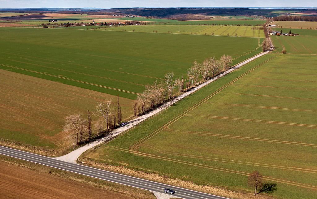 Direkt von der B87 biegt die alte Punschrauer Straße ab, ein in Teilen nutzbarer Fahrweg. Er soll auf einem Kilometer Länge teilentsiegelt werden. Die Hoffnung steht, dass die dreieinhalb Meter verbliebener Breite gut nutzbar hergerichtet werden können.