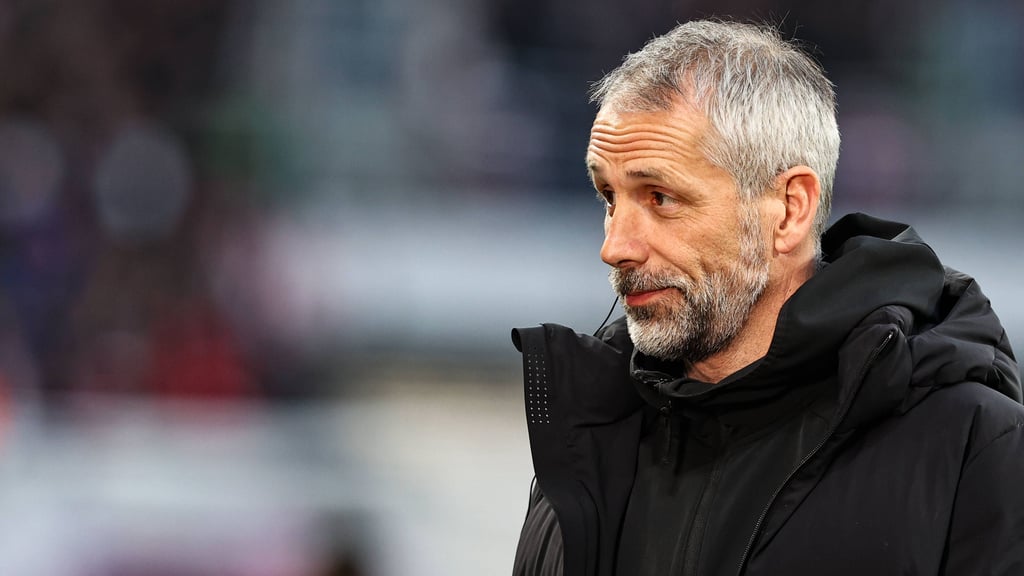 RB Leipzigs Trainer Marco Rose beklagt wie Berichterstattung über seine Arbeit.