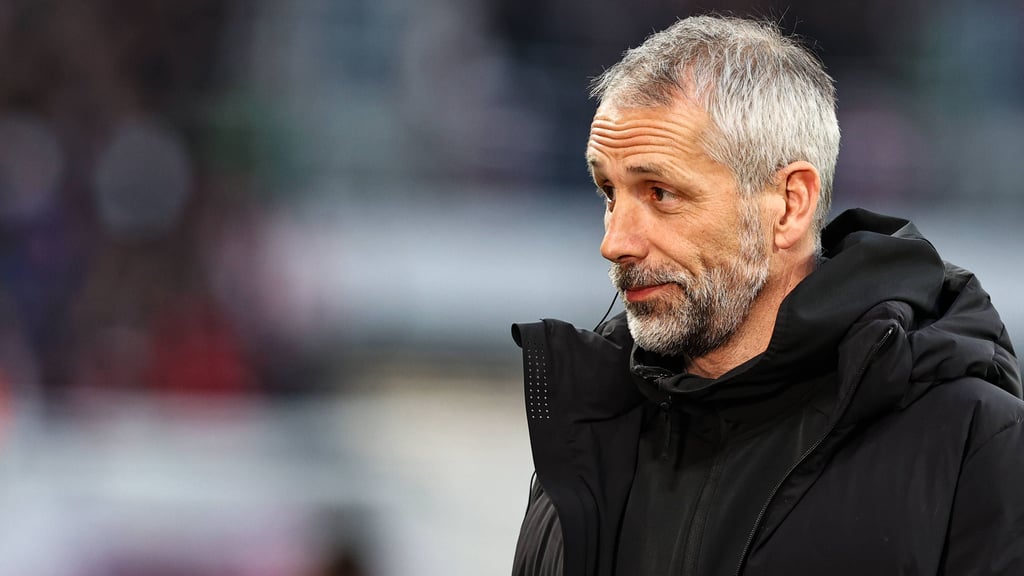 RB Leipzigs Trainer Marco Rose beklagt wie Berichterstattung über seine Arbeit.