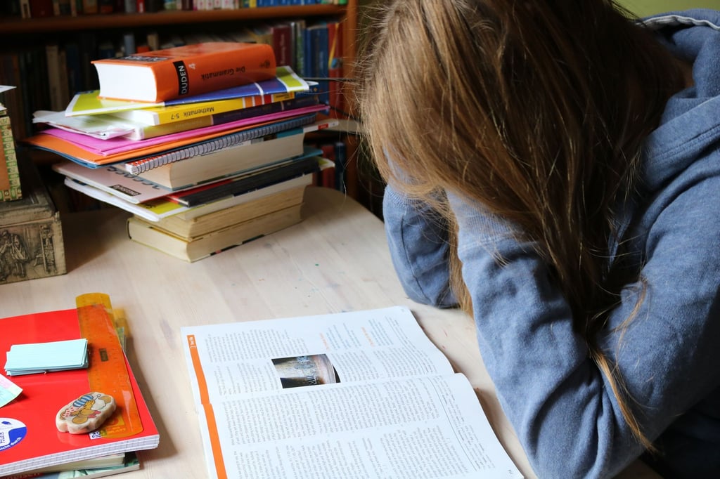Es gibt viele Ursachen für Kinder und Jugendliche, vom Unterricht fernzubleiben - Angststörungen sind eine davon. (Archivbild)
