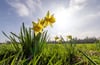 Hoch Konstantina ist für das frühlingshafte Wetter in Mitteldeutschland verantwortlich.