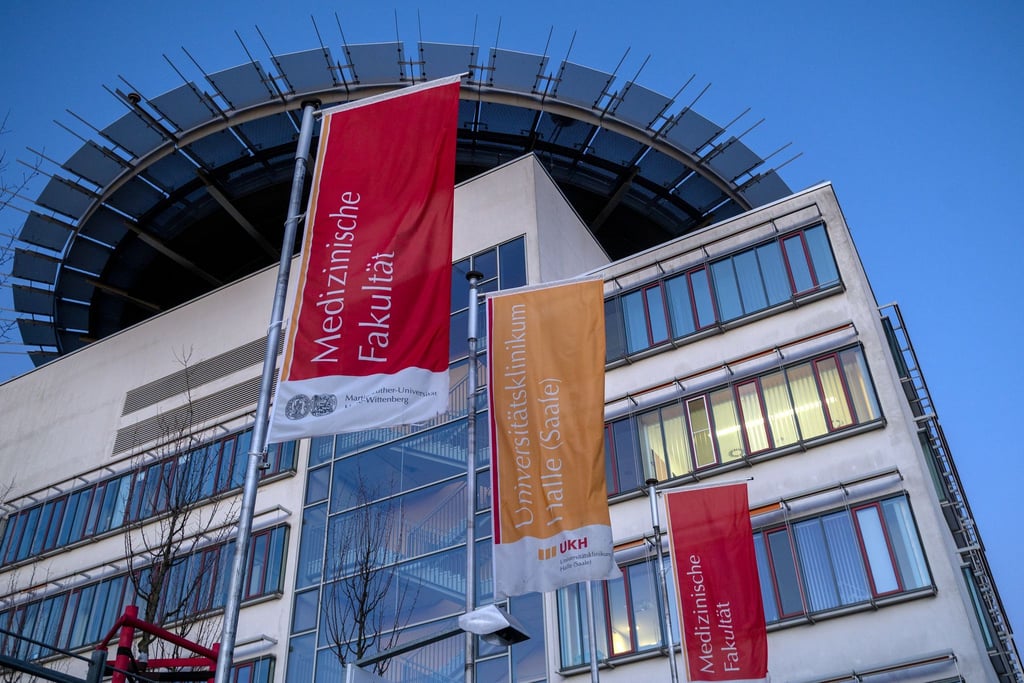 Das neue Institut der Universitätsmedizin Halle (Saale) wird Teil des bereits bestehenden Landeszentrums für Zell- und Gentherapie. (Archivbild)