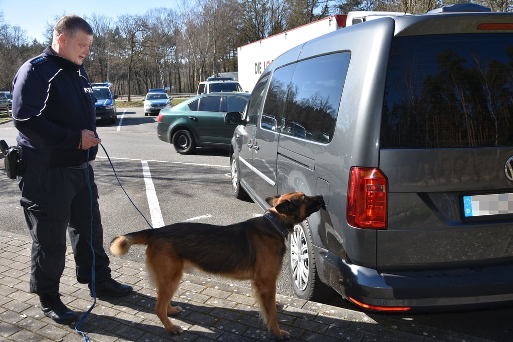 Polizeihauptmeister Jens Krüger mit Rauschgiftspürhund Maly im Einsatz.