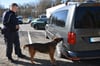 Polizeihauptmeister Jens Krüger mit Rauschgiftspürhund Maly im Einsatz.