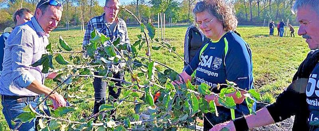 Erst im Herbst wurden die Obstbäume gepflanzt.
