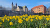 Frühling am Kloster Unser Lieben Frauen in Magdeburg. Doch wie wird das Wetter?