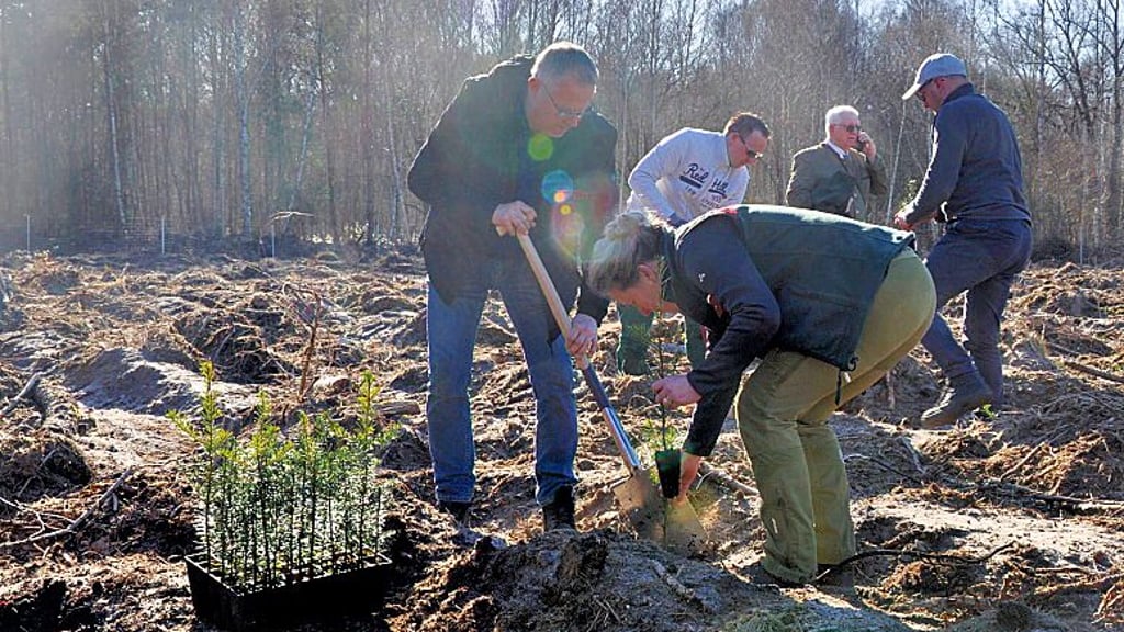 Viele Hände, schnelles Ende: Bei einer Pflanzaktion wurden Bäume im Stadtforst in Stendal eingepflanzt.
