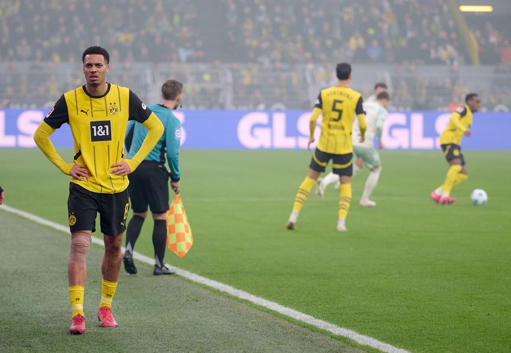 Nmecha verletzte sich im Bundesliga-Spiel gegen Werder Bremen.
