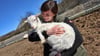 Tierheimleiterin Nancy Behler mit einem Ziegenlamm, das zu den neu eingewiesenen Bewohnern im Tierheim Sangerhausen gehört.