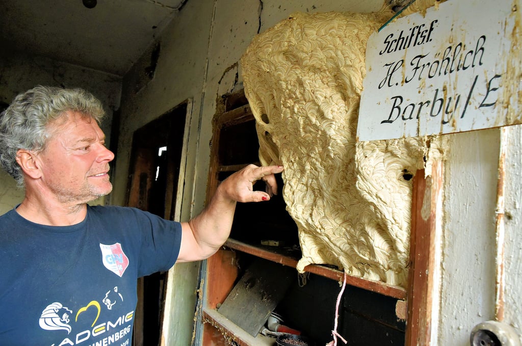 Berti Wegener hat in einem Werkstattgebäude der ehemaligen Barbyer Schiffswerft ein sonderbares „Nest“ gefunden.