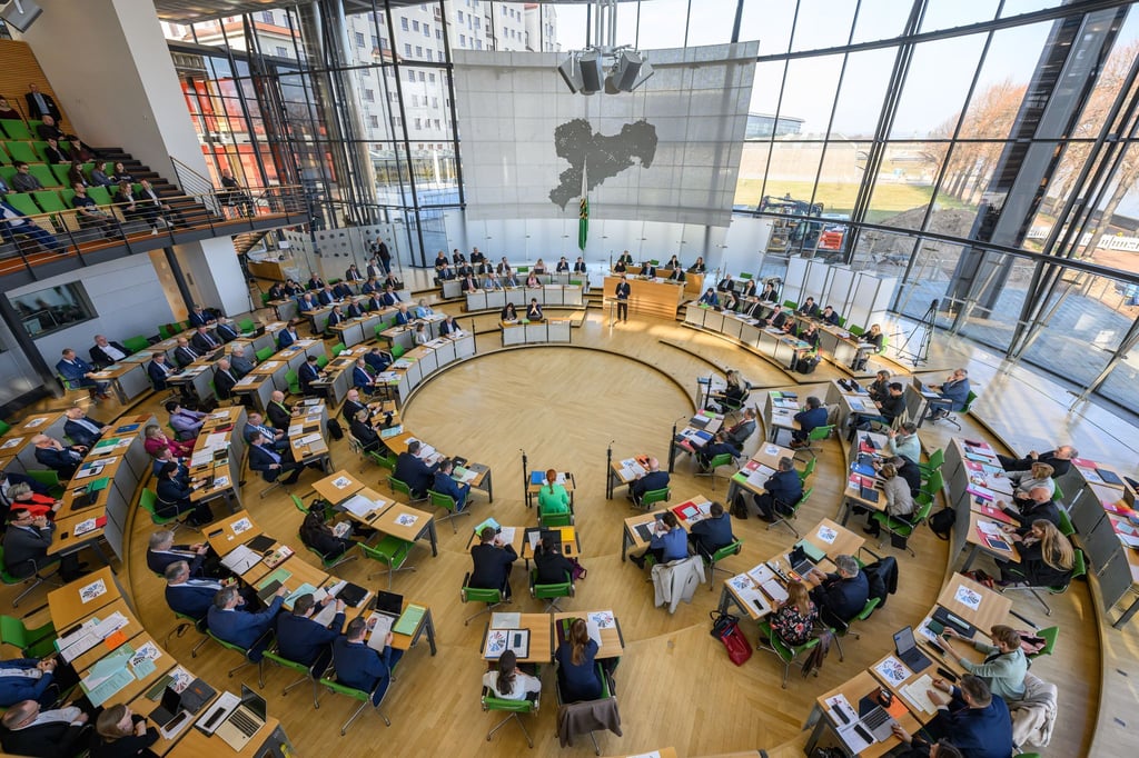 Die AfD-Fraktion hatte ein Sonderplenum des Landtags zum Finanzpaket von Union, SPD und Grünen im Bund beantragt. (Archivbild)