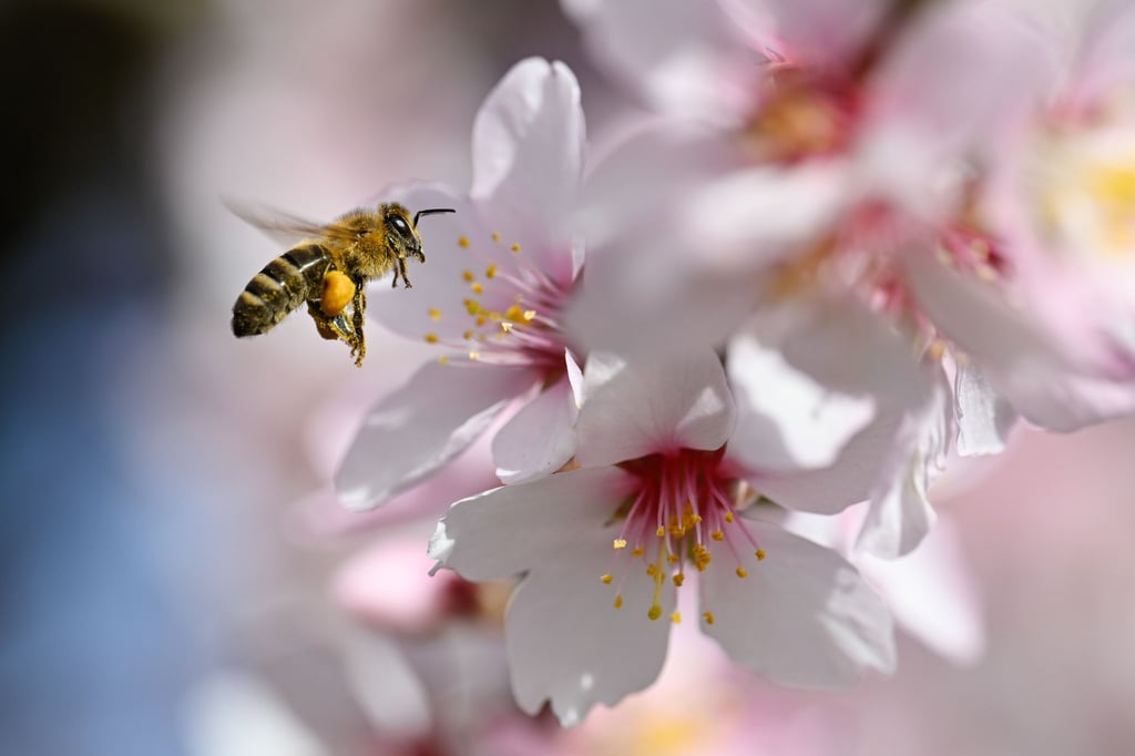 Der Frühling versteckt sich am Wochenende wieder etwas mehr.