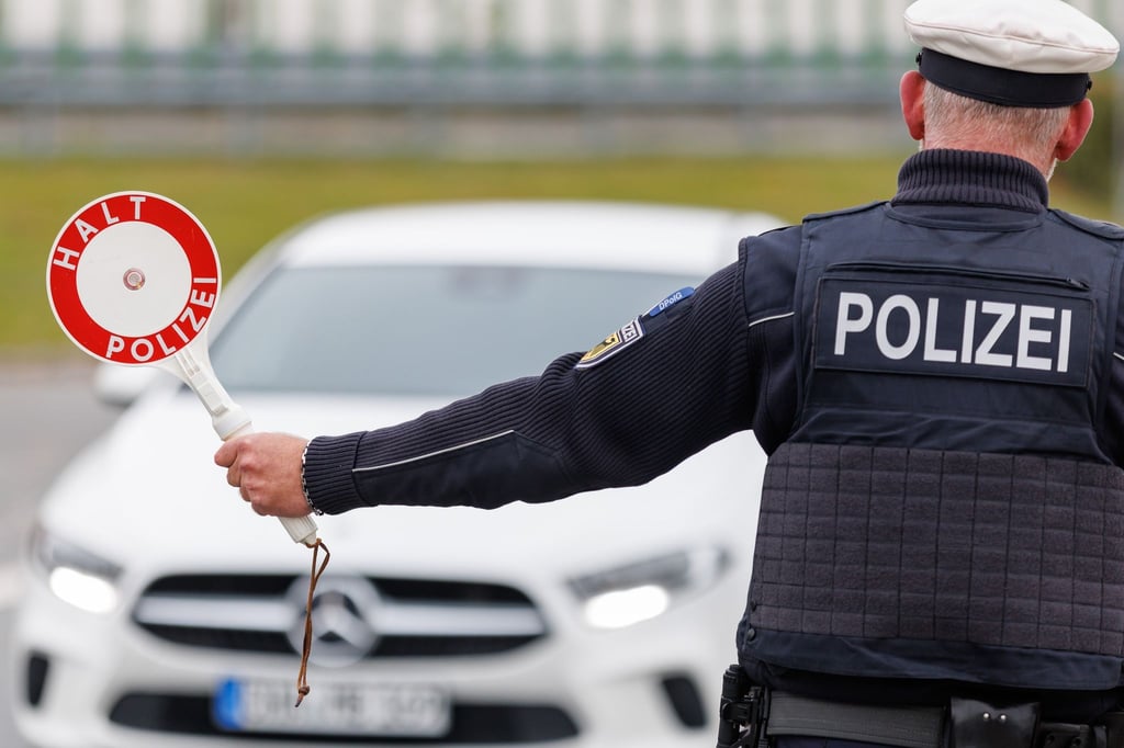 Neun erwachsene Hunde und sechs Welpen wurden bei einer Einreisekontrolle gefunden (Symbolbild)