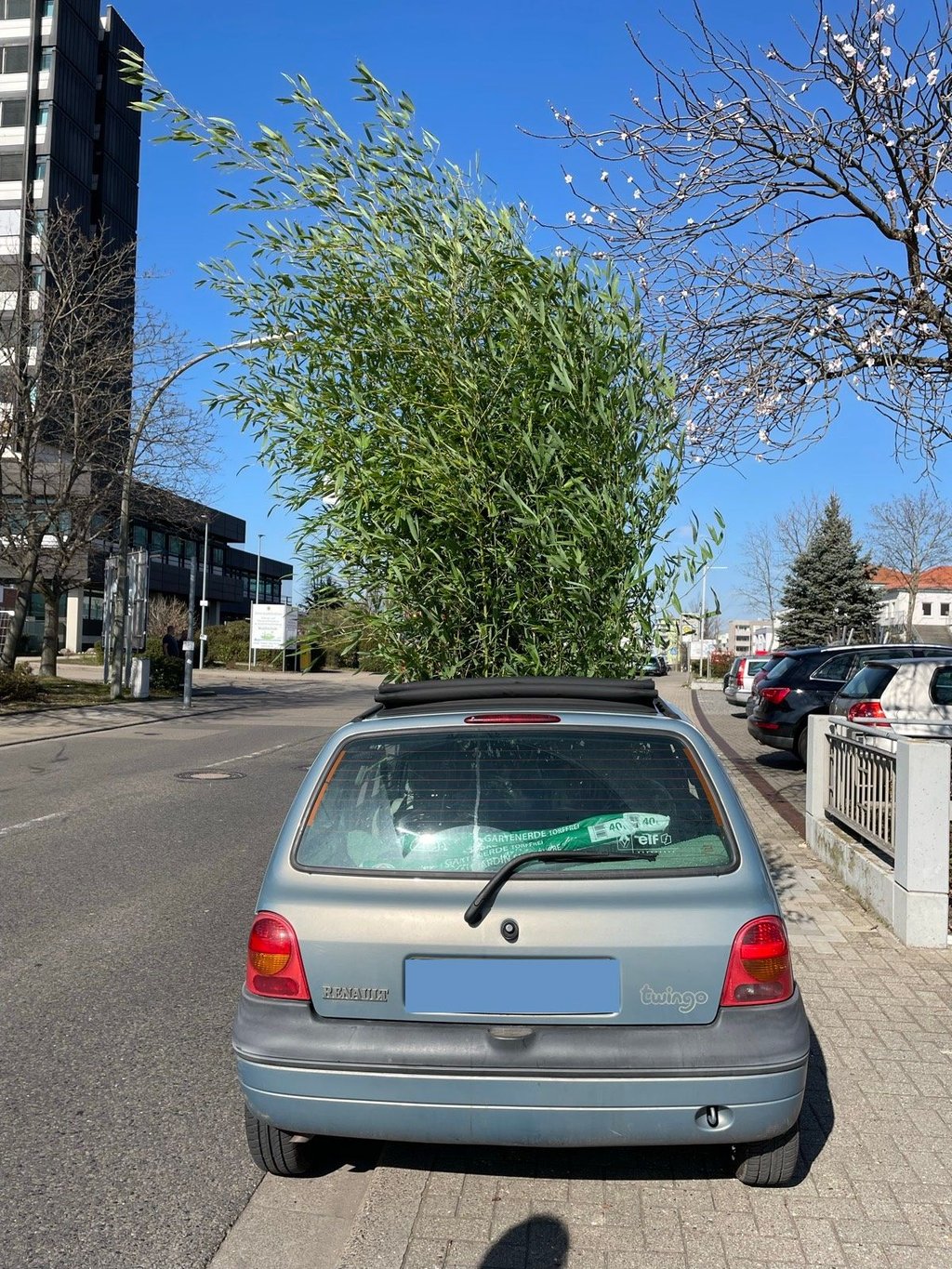 Wegen dieser kuriosen Ladung wurde am Dienstag ein Autofahrer von der Polizei angehalten.