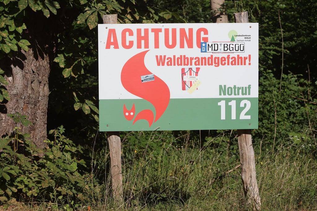 Vor allem im Osten ist die Waldbrandgefahr hoch. (Archivbild)