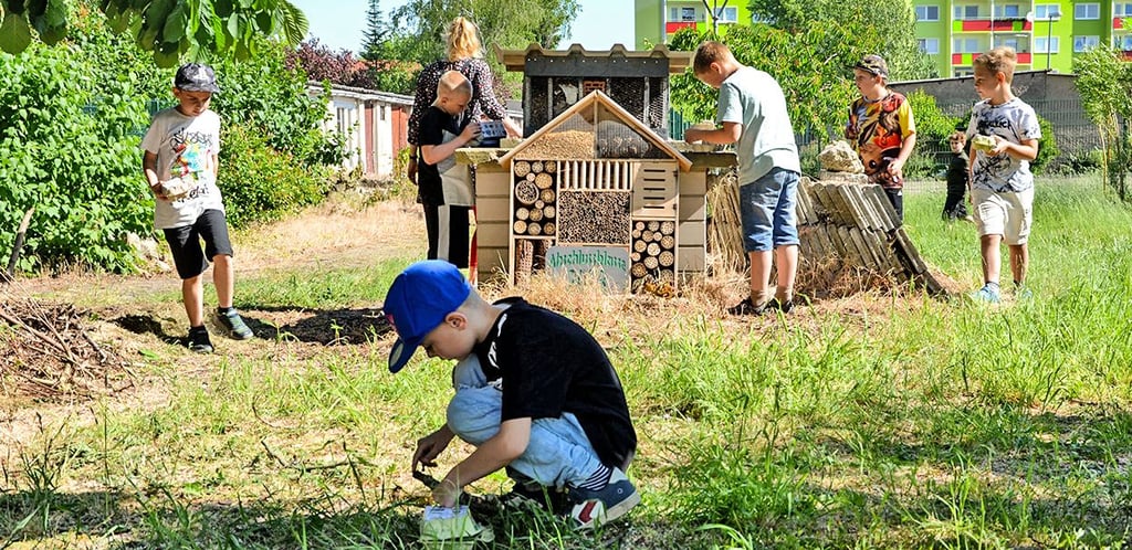 Im Sommer wird an der Grundschule der Schulgarten mit einbezogen.