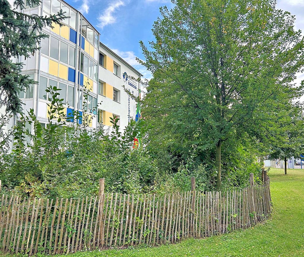 Der erste Magdeburger „Tiny Forest“ der Stadt wurde in der Alten Neustadt Ende 2022 gepflanzt.