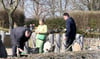 Die "Alltagsmenschen" (mittig) stehen im Friedgarten Mitteldeutschland in Kabelsketal über den Friedhof verteilt. 