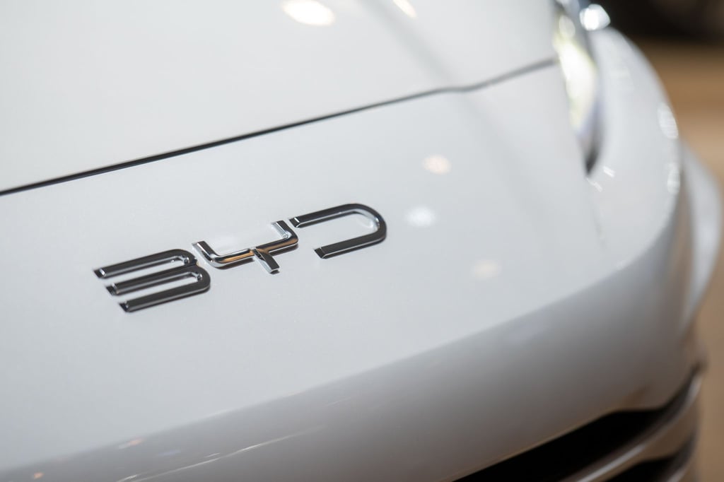 Während US-Rivale Tesla zuletzt in der Volksrepublik Probleme hatte, geht das Wachstum bei BYD auch in den ersten Monaten des neuen Jahres weiter. (Archivbild)