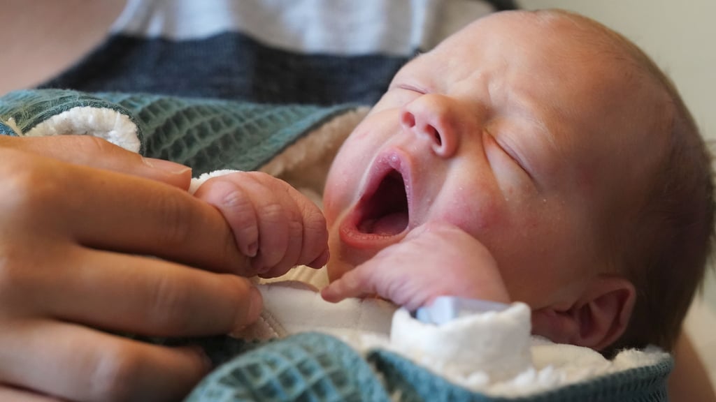 In Wernigerode werden immer weniger Kinder geboren. 2024 waren es nur 154.
