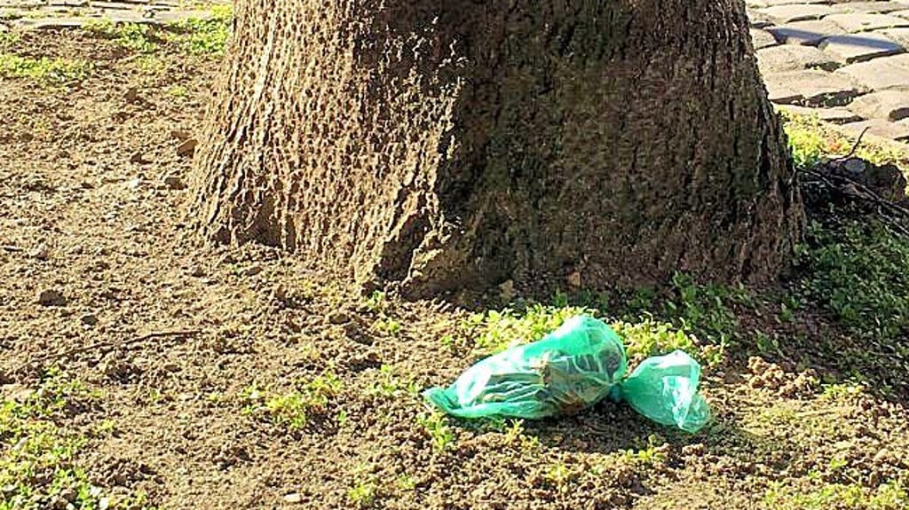 Ein Hundebeutel an der Ecke Wolfgangstraße/Richard-Wagner-Straße
