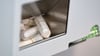 In Bremen haben Schulen weiterhin die Möglichkeit, an Schülerinnen kostenlose Tampons auszugeben. (Archivbild)