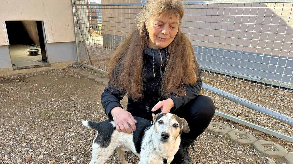 Vorsitzende Christine Strempel mit einem ihrer Schützlinge im Tierschutzverein in Eickendorf. Seit 15 Jahren setzen sich die ehrenamtlichen Helfer täglich für das Wohl der Tiere ein.