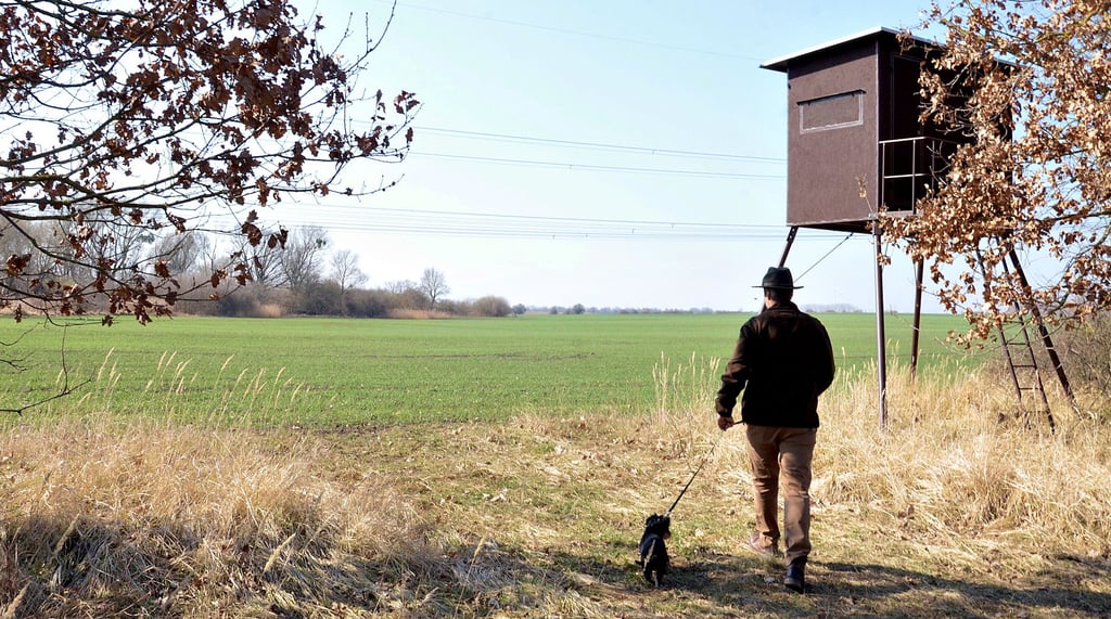 Zwischen Eggersdorf und Großmühlingen geht David Löwenthal auf die Jagd. 