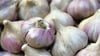Spanien, China, Ägypten: In den wenigsten Fällen kommt Knoblauch aus Deutschland.