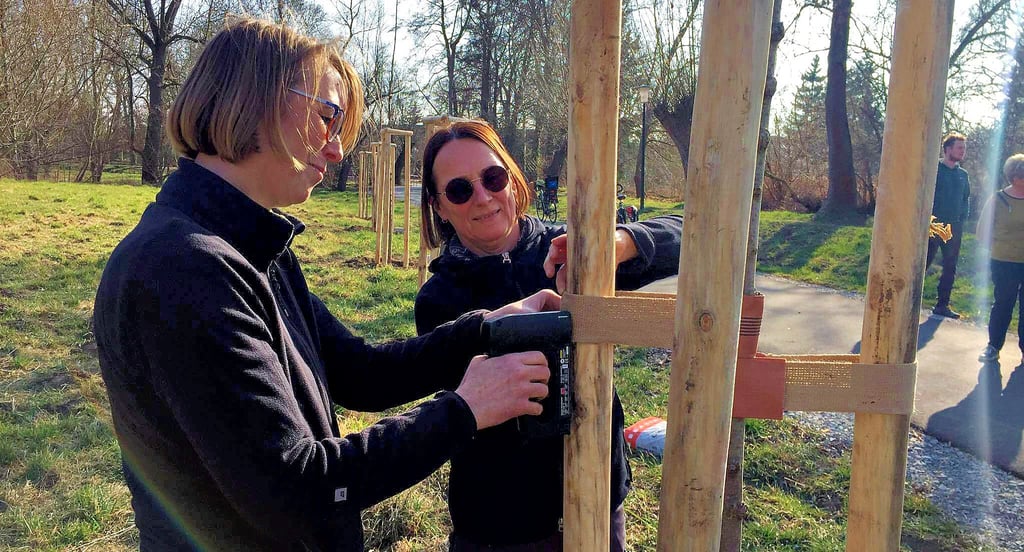 Baum an Baum: Yvonne Kienast (links) vom Hoymat-Verein befestigt die Bänder, die die noch jungen Ulmen halten sollen.