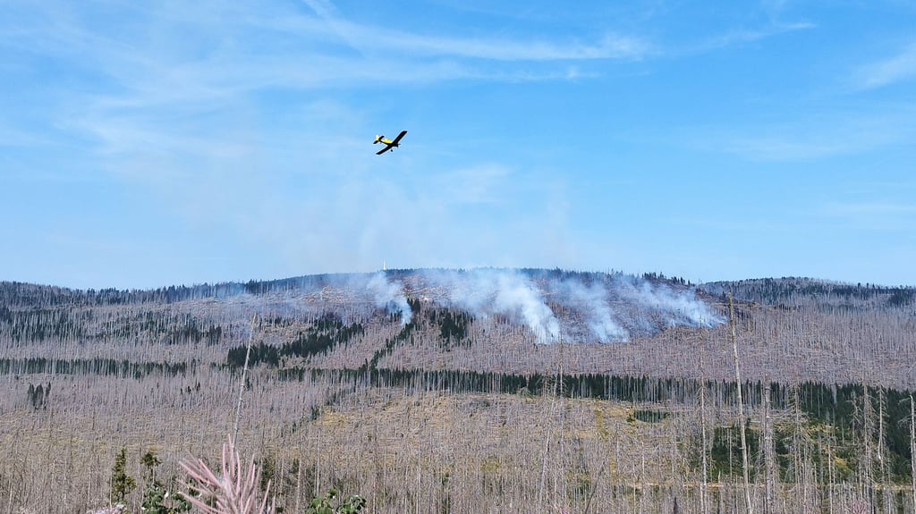 Am Freitag, 6. September 2024, brach der Waldbrand am Königsberg aus. Trotz des Einsatzes von rund 250 Einsatzkräften am Boden sowie Löschflugzeugen und -hubschraubern dauerten die Löscharbeiten mehrere Tage.