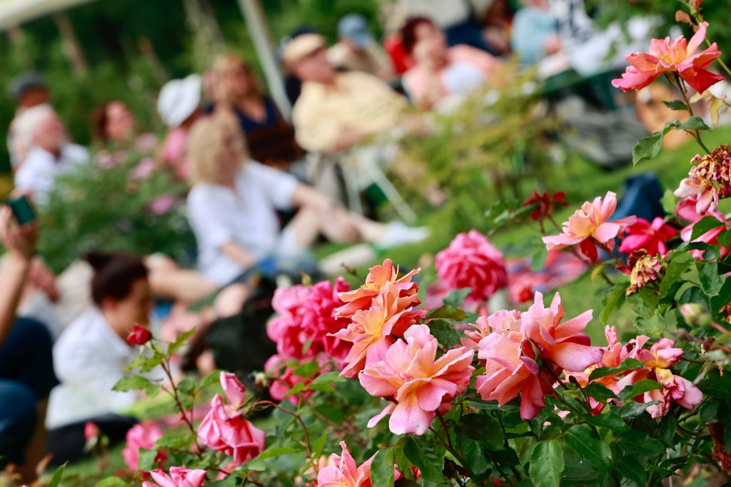 Heiko Leßmann führt auch künftig die Rosenstadt Sangerhausen GmbH. Die Firma ist unter anderem für den touristischen Betrieb des Europa-Rosariums in Sangerhausen und des Schaubergwerks in Wettelrode zuständig. Ins Rosarium kommen jährlich zehntausende Gäste.