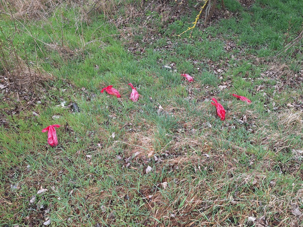 Auch in Ilberstedt landen reihenweise gefüllte Hundekot-Beutel in der Natur.