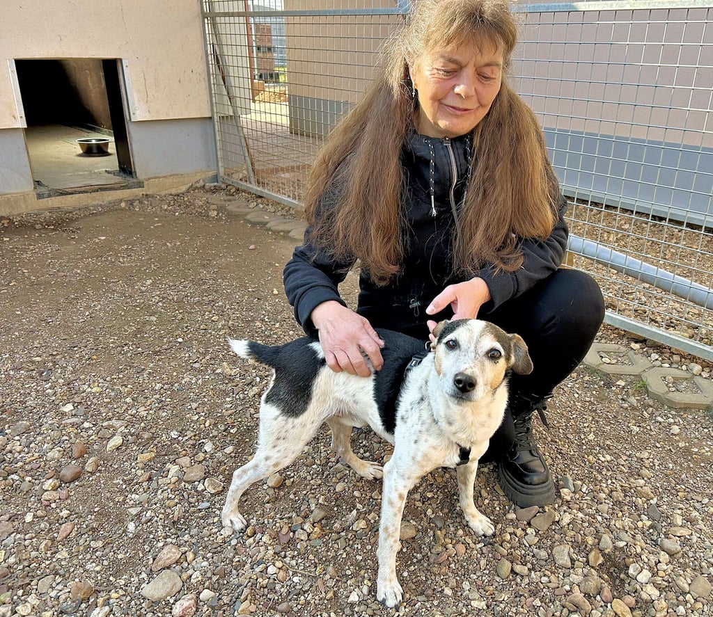 Vorsitzende Christine Strempel mit einem ihrer Schützlinge im Tierschutzverein in Eickendorf. Seit 15 Jahren setzen sich die ehrenamtlichen Helfer täglich für das Wohl der Tiere ein.