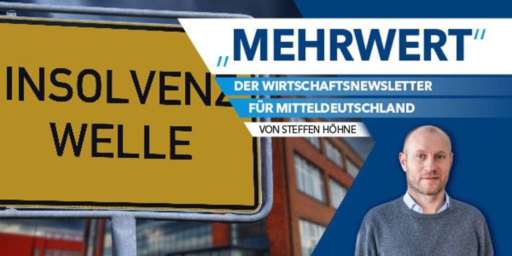 Newsletter Pleitewelle