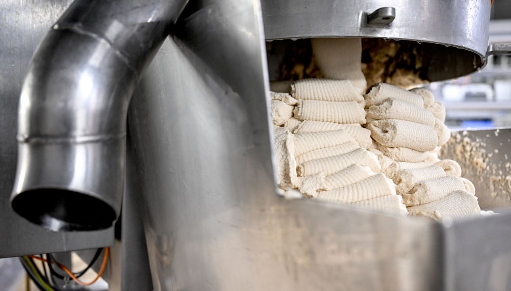 Erwerbstätige im verarbeitenden Gewerbe haben 2024 mehr gearbeitet. (Symbolbild)